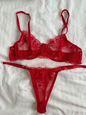 Sheer Floral Lace Red Bra & Thong Set